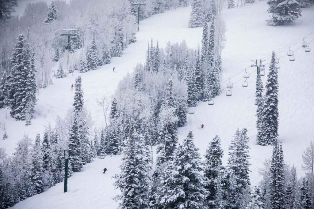 Ski lift on snow covered mountain with trees