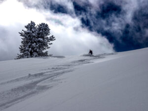 Silhouetted skier enjoying powder, bluebird day in Wasatch Mountains near Park City, Utah, USA.
